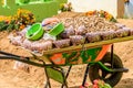 Wheelbarrow full of nuts in cemetery, Giant kite festival, Santiago Sacatepequez, Guatemala