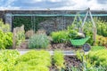 Wheelbarrow full of recently harvested vegetables Royalty Free Stock Photo