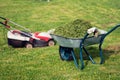 Wheelbarrow full of trimmed grass and a lawn mower standing on the mowed lawn Royalty Free Stock Photo