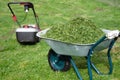 Wheelbarrow full of trimmed grass and a lawn mower standing on the mowed lawn Royalty Free Stock Photo