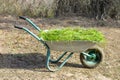 Wheelbarrow with garden waste on a green lawn. It`s a summer day, the midday sun shines. View from the side Royalty Free Stock Photo