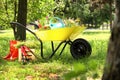 Wheelbarrow with gardening tools and flowers on grass Royalty Free Stock Photo