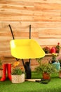 Wheelbarrow with gardening tools and flowers near wall Royalty Free Stock Photo