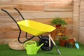 Wheelbarrow with gardening tools and flowers Royalty Free Stock Photo
