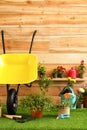 Wheelbarrow with gardening tools and flowers near wooden Royalty Free Stock Photo