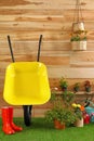 Wheelbarrow with gardening tools and flowers near wooden Royalty Free Stock Photo