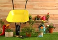 Wheelbarrow with gardening tools and flowers near wooden Royalty Free Stock Photo