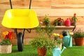 Wheelbarrow with gardening tools and  near wooden wall Royalty Free Stock Photo