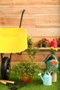 Wheelbarrow with tools and flowers near wooden wall Royalty Free Stock Photo