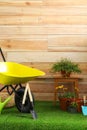 Wheelbarrow with gardening  and flowers near wooden wall. Space for text Royalty Free Stock Photo