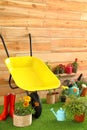 Wheelbarrow with gardening tools and flowers near wooden Royalty Free Stock Photo