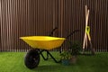 Wheelbarrow, gardening tools and plants on grass near wood slat wall Royalty Free Stock Photo