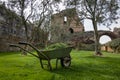 Wheelbarrow of grass clippings in a garden