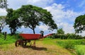Wheelbarrow on grass fields with beautiful green trees background and beautiful blue sky background. Royalty Free Stock Photo