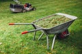 Wheelbarrow with grass and lawnmower on green lawn Royalty Free Stock Photo