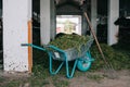Wheelbarrow With Grass And Pitchforks In Stall