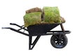 Wheelbarrow loaded with grass pieces for lawn on white isolated background Royalty Free Stock Photo