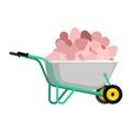 Wheelbarrow and penis. pile in garden trolley. Vector Illus