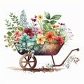 Wheelbarrow Planter Plans with Beautiful Sping Flowers Watercolor, Isolated on White Background - Generative AI