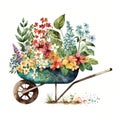 Wheelbarrow Planter Plans with Beautiful Sping Flowers Watercolor, Isolated on White Background - Generative AI