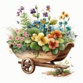 Wheelbarrow Planter Plans with Beautiful Sping Flowers Watercolor, Isolated on White Background - Generative AI