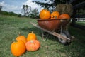 Wheelbarrow of pumpkins sitting in a farm field with bales of hay and straw. Royalty Free Stock Photo