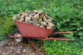 Wheelbarrow with rocks . Royalty Free Stock Photo