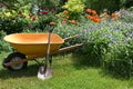 A wheelbarrow and shovel in the garden Royalty Free Stock Photo