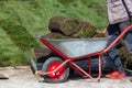 Wheelbarrow with sod for new garden lawn, gardening