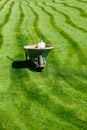 Wheelbarrow with some gardening equipment on a fresh cut green grass Royalty Free Stock Photo