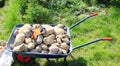 Wheelbarrow with stones