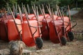 Wheelbarrows in garden