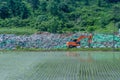 Wheeled backhoe in front of rocks pile with rice paddy in foreground