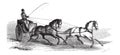 2-wheeled Cart drawn by 2 Horses in Tandem, vintage engraving