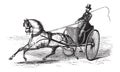 2-wheeled Cart drawn by a Single Horse, vintage engraving