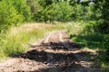 A wheeled tractor cultivates the soil in areas adjacent to the forest area for fire protection of forest plantations.