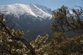 Wheeler Peak, Great Basin National Park Royalty Free Stock Photo