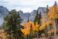 Wheeler Peak over orange and yellow fall colors on aspen tree le Royalty Free Stock Photo