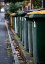 Wheelie bins lined up on street