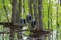 Wheels and boards in a rope park for team building Royalty Free Stock Photo