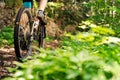 Wheels of a mountain bike riding on a forest road Royalty Free Stock Photo