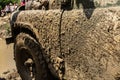 Wheels of off road car stuck full of mud Royalty Free Stock Photo