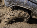 Wheels of off road car stuck full of mud Royalty Free Stock Photo