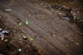 Wheels tracks on mud Royalty Free Stock Photo