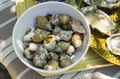 Whelks, bulot,sea snails, in small a bowl on the table Royalty Free Stock Photo