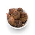 Whelks isolated on a white studio background.