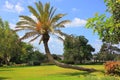 Where buried Baron Edmond de Rothschild, Israel