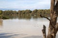 Where the muddy darling river meets the clear flowing murray river Royalty Free Stock Photo