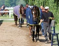 Backstretch Life at Horse Haven