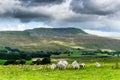 Whernside mountain. Yorkshire Dales National Park Royalty Free Stock Photo